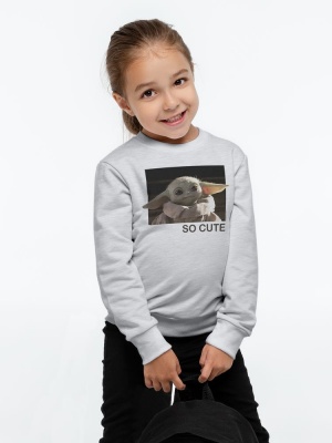 PS2102092674 Свитшот детский Baby Yoda, серый