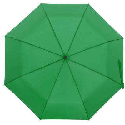 PS2203155933 Molti. Зонт складной Monsoon, зеленый