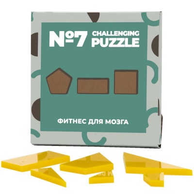 PS2102082609 IQ Puzzle. Головоломка Challenging Puzzle Acrylic, модель 7
