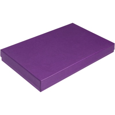 PS2005735 Коробка Horizon, фиолетовая