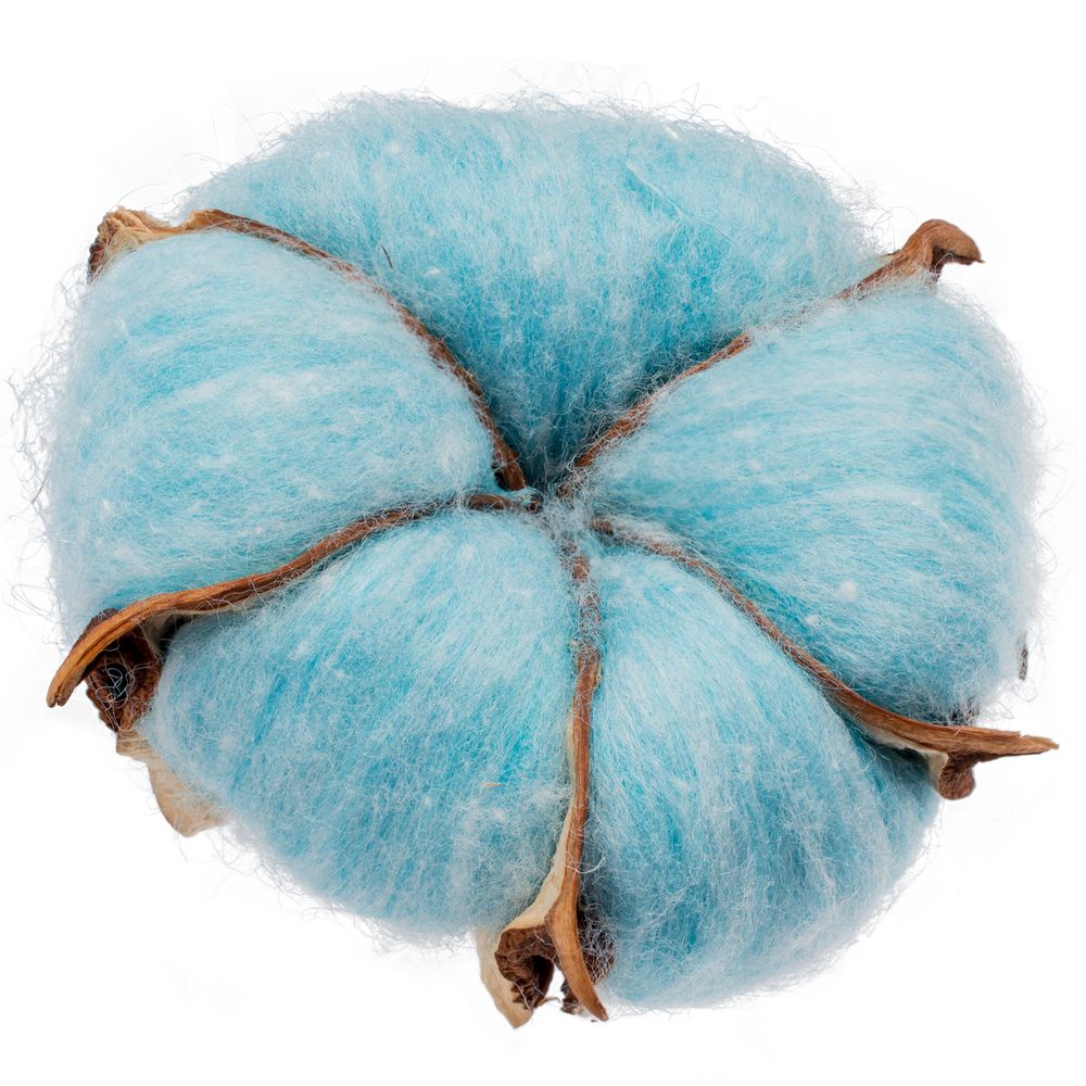 PS2408234109 Цветок хлопка Cotton, голубой