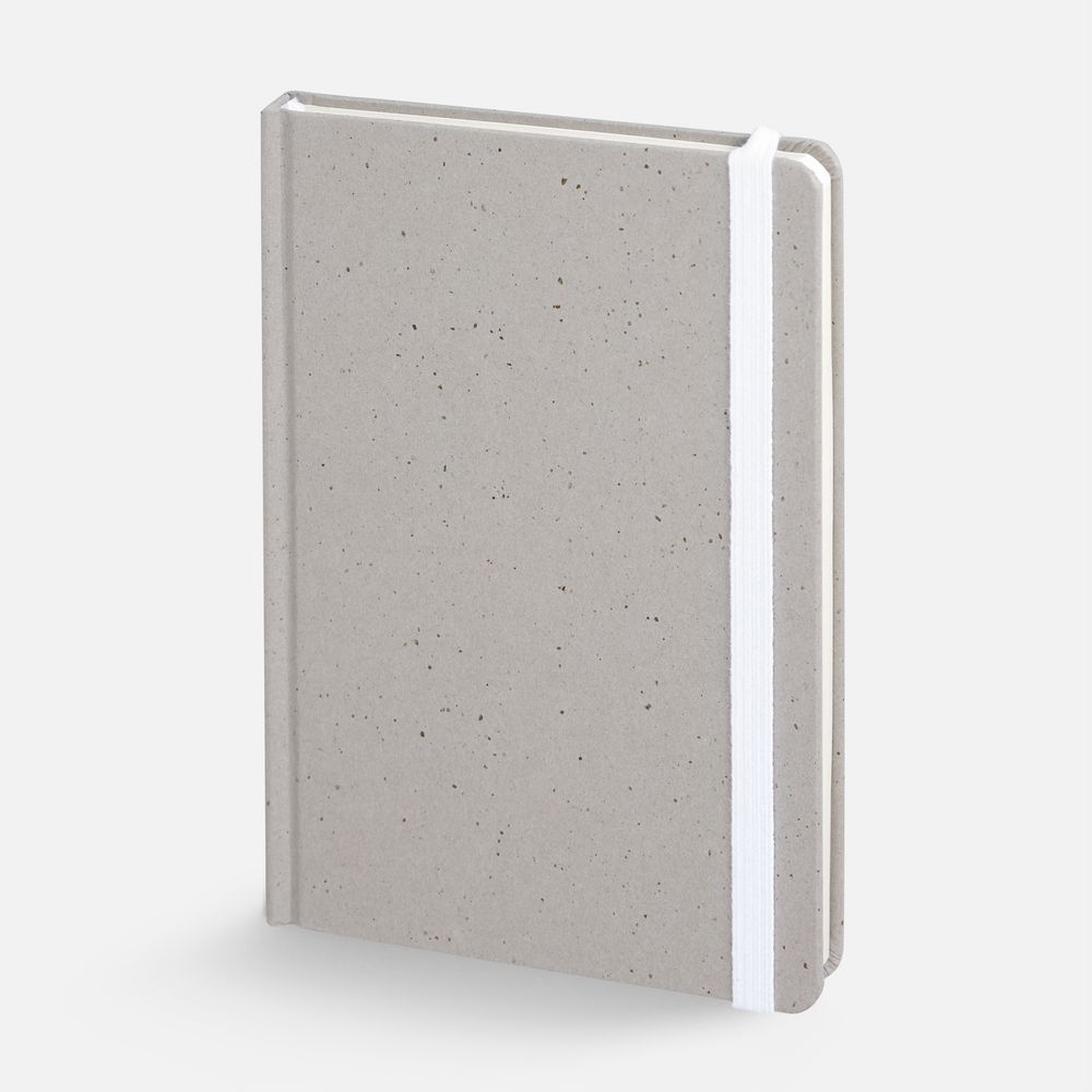 PS1710252962 Блокнот Lactonica, серый