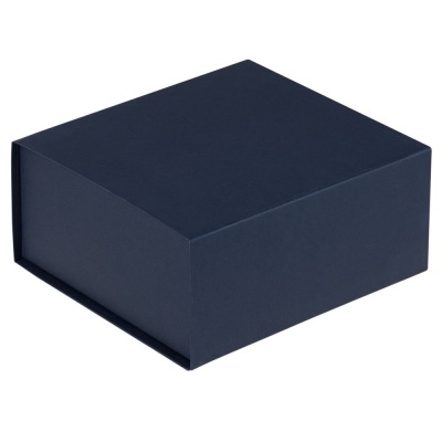 PS2003054 Коробка Amaze, синяя