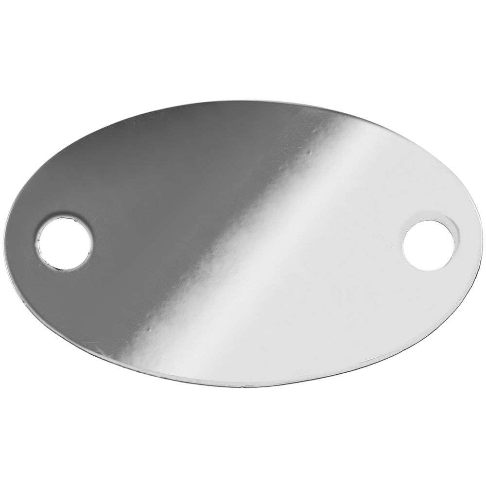 PS1710251101 Шильдик металлический Alfa Oval, серебристый глянцевый