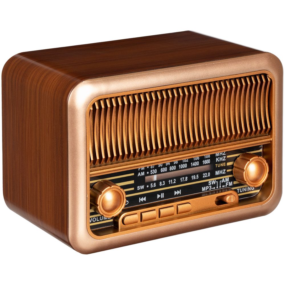 PS171025902 Molti. Bluetooth-колонка с радио Beatnik, коричневая