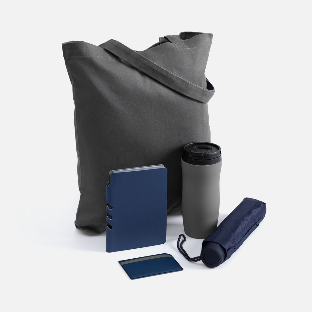 PS1710254232 Набор Dual Umbrella, синий