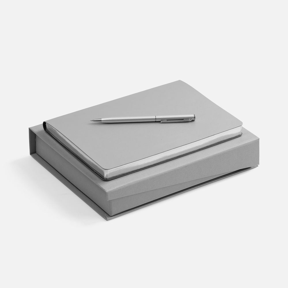 PS1710254880 Набор Nebraska Flex, серебристый