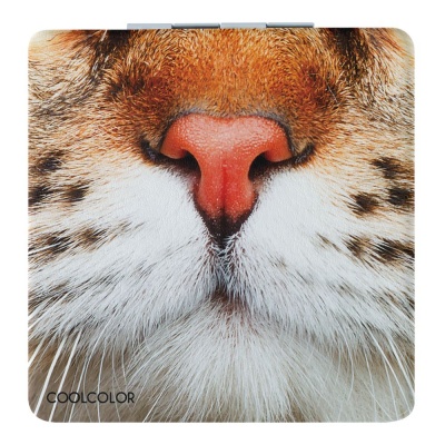 PS240826529 CoolColor. Зеркало &laquo;Кис-Kiss&raquo;, квадратное