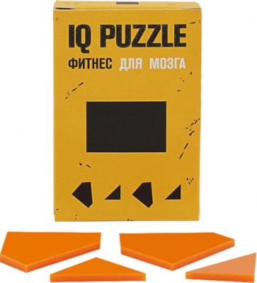 PS2102082620 IQ Puzzle. Головоломка IQ Puzzle Figures, прямоугольник