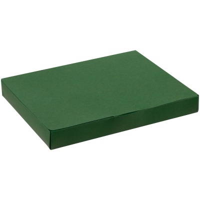 PS2102089537 Коробка самосборная Flacky Slim, зеленая