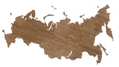PS2013994 Деревянная карта России, орех