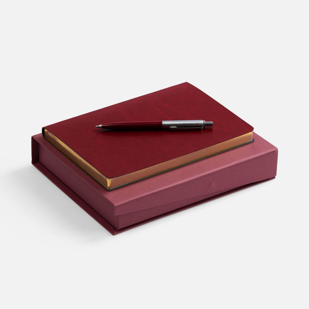 PS1710254879 Набор Nebraska Flex, бордовый с серебристым