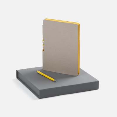 PS1710255006 Набор Flexpen Grey, желтый