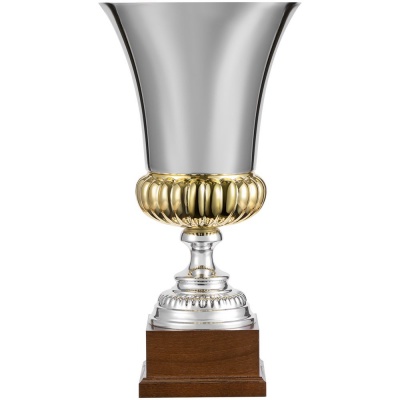 PS1710251912 Кубок Erfolg, серебристый