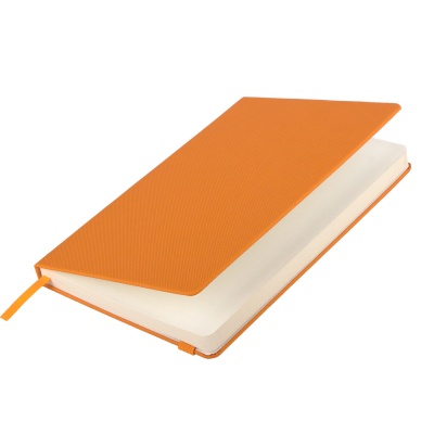 PB220330316 Portobello BtoBook. Ежедневник недатированный  Canyon BtoBook, оранжевый (без упаковки, без стикера)