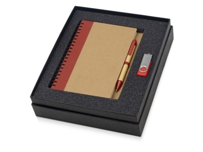 OA2003023807 Подарочный набор Essentials с флешкой и блокнотом А5 с ручкой, красный