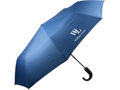 OA1701401399 William Lloyd. Складной зонт полуавтоматический William Lloyd, синий
