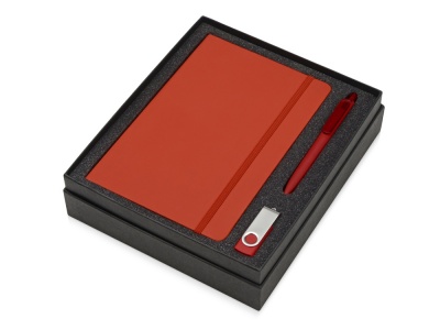 OA2003023879 Подарочный набор Vision Pro Plus soft-touch с флешкой, ручкой и блокнотом А5, красный