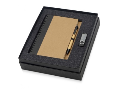 OA2003023809 Подарочный набор Essentials с флешкой и блокнотом А5 с ручкой, черный