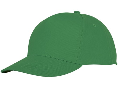 OA2003026531 Пятипанельная кепка Hades, зеленый папоротник