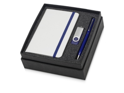 OA2003023803 Подарочный набор Reporter Plus с флешкой, ручкой и блокнотом А6, синий