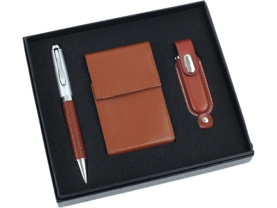 OA82S-BRN51 Набор: шариковая ручка, визитница, флеш-карта USB 2.0 на 1 Gb