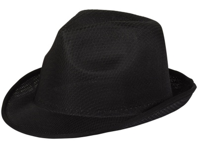 OA2003023217 Шляпа Trilby, черный