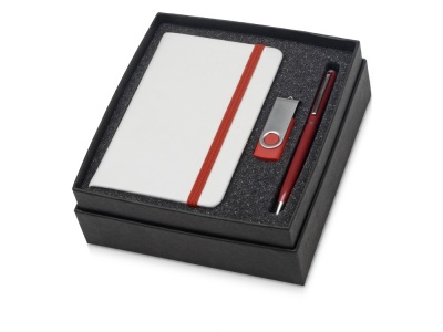 OA2003023802 Подарочный набор Reporter Plus с флешкой, ручкой и блокнотом А6, красный