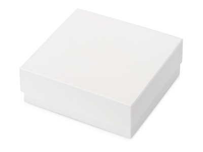 OA210209489 Подарочная коробка с эфалином Obsidian M 167 х 157 х 63, белый