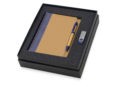 OA2003023808 Подарочный набор Essentials с флешкой и блокнотом А5 с ручкой, синий