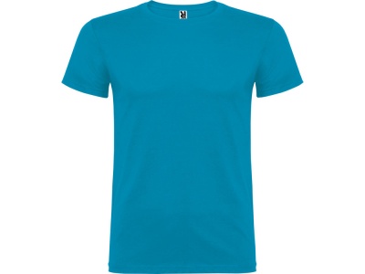 OA2102097108 Roly. Футболка Beagle детская, бирюзовый