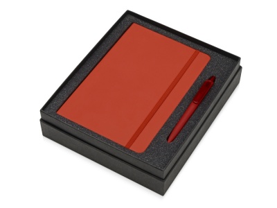 OA2003023875 Подарочный набор Vision Pro soft-touch с ручкой и блокнотом А5, красный
