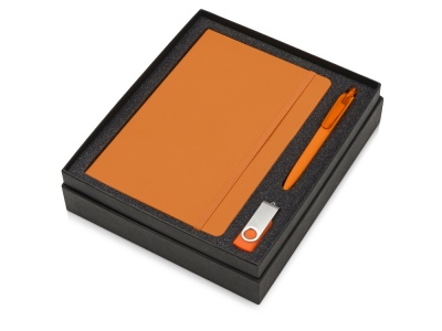 OA2003023880 Подарочный набор Vision Pro Plus soft-touch с флешкой, ручкой и блокнотом А5, оранжевый