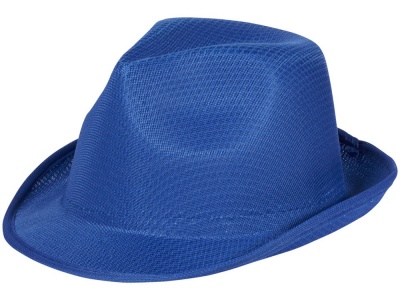OA2003023216 Шляпа Trilby, синий