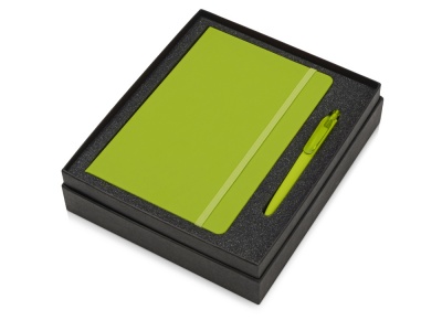 OA2003023874 Подарочный набор Vision Pro soft-touch с ручкой и блокнотом А5, зеленый