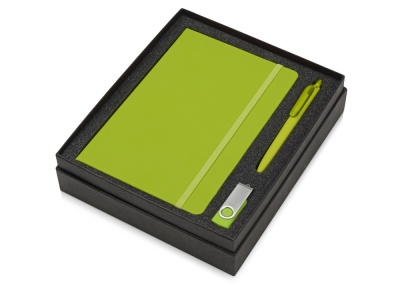 OA2003023878 Подарочный набор Vision Pro Plus soft-touch с флешкой, ручкой и блокнотом А5, зеленый