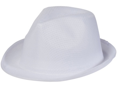 OA2003023213 Шляпа Trilby, белый